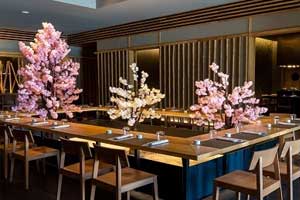 Kabuki at Majestic Costa Mujeres 